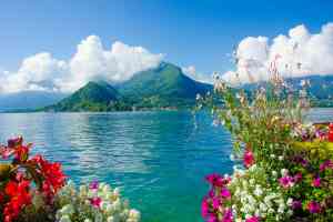 Seeblick und Sommerblumen